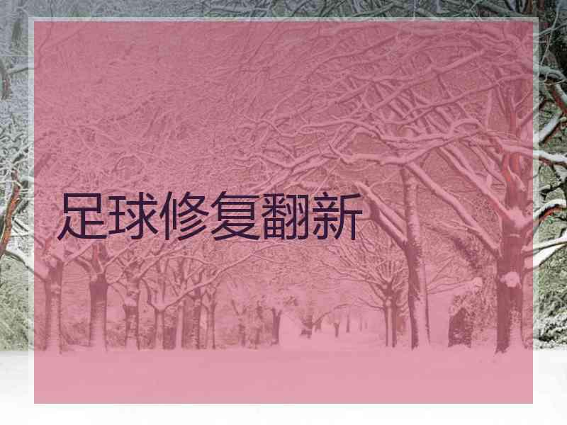 足球修复翻新