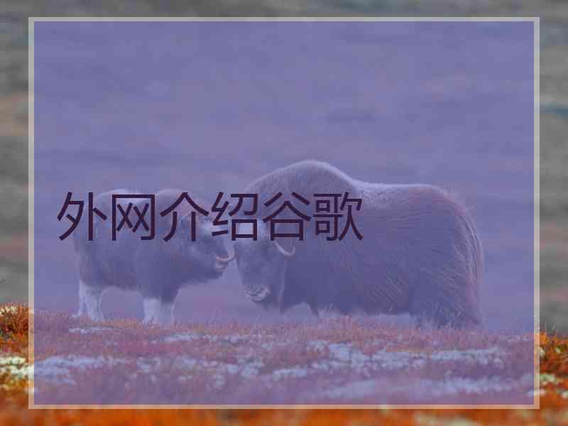 外网介绍谷歌