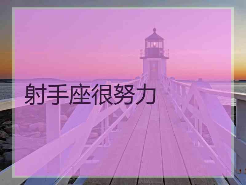 射手座很努力