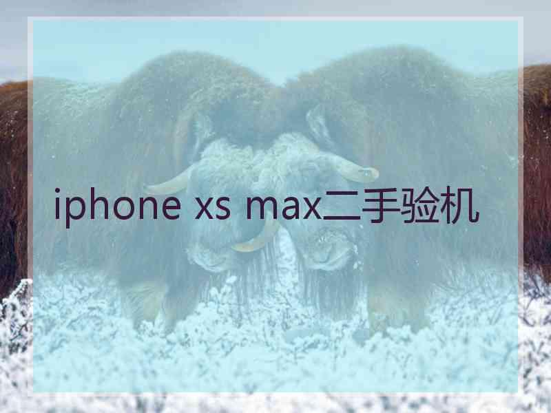 iphone xs max二手验机