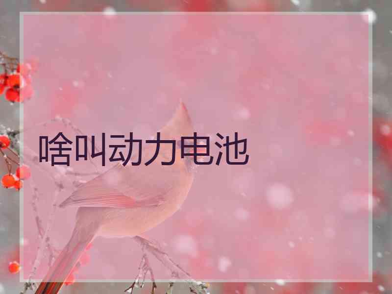 啥叫动力电池