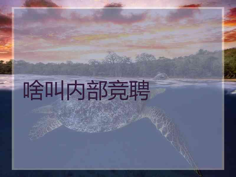 啥叫内部竞聘