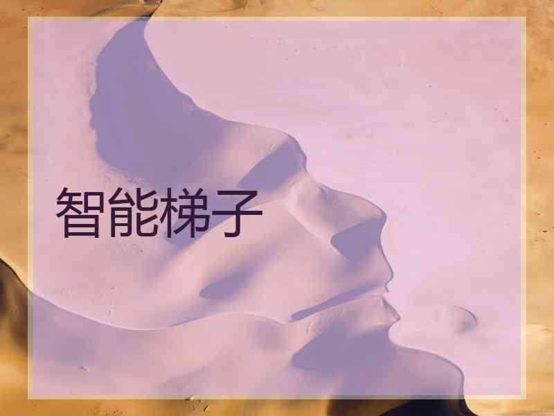 智能梯子