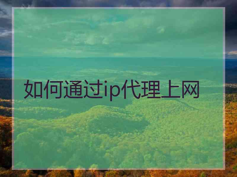 如何通过ip代理上网