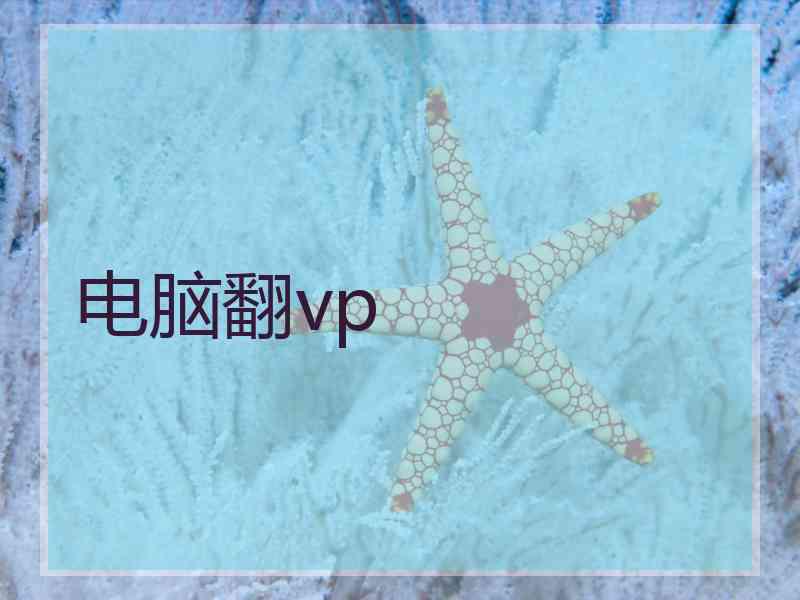 电脑翻vp