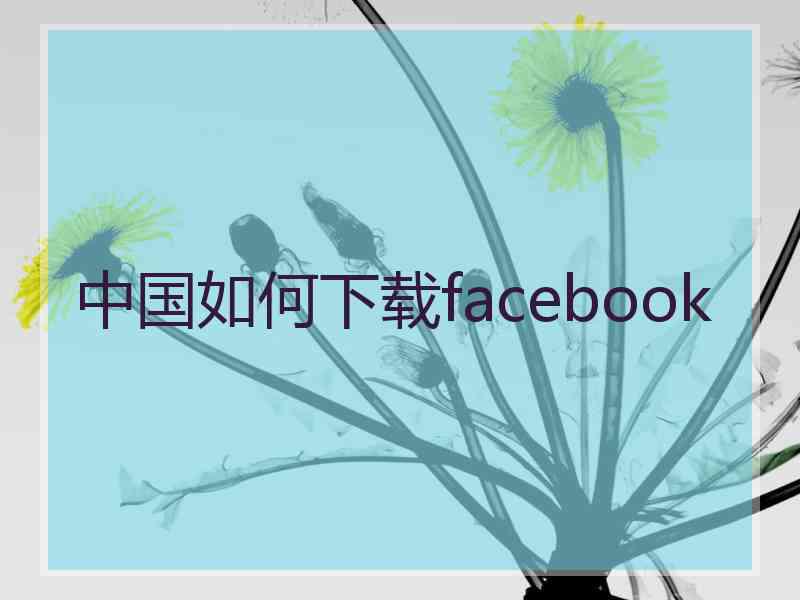 中国如何下载facebook