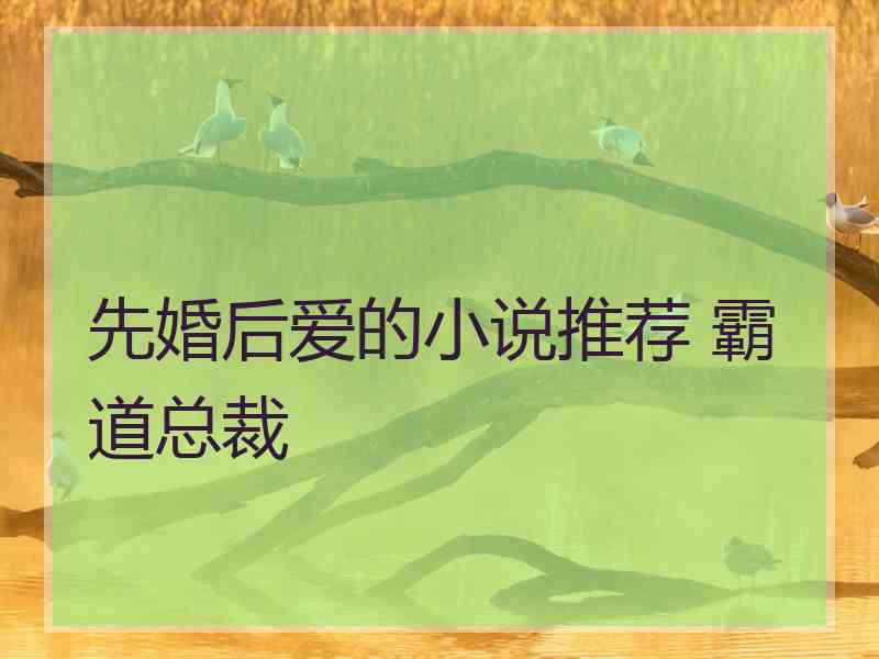 先婚后爱的小说推荐 霸道总裁