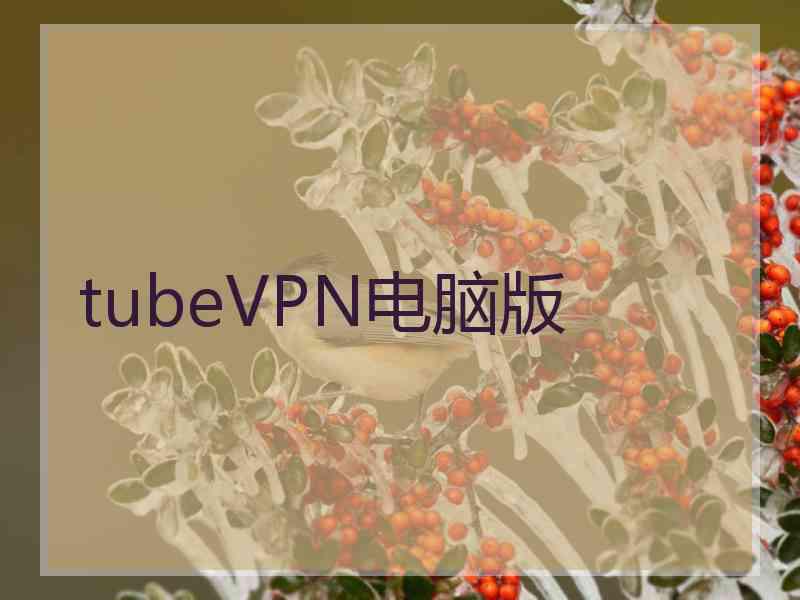 tubeVPN电脑版