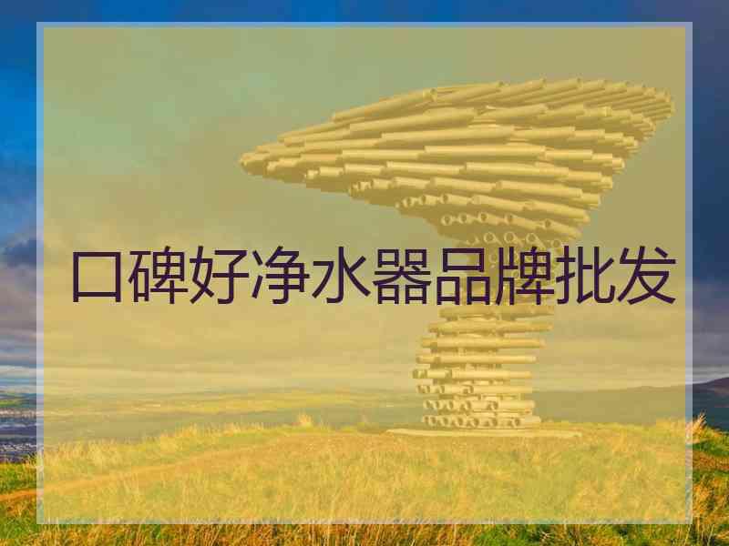 口碑好净水器品牌批发