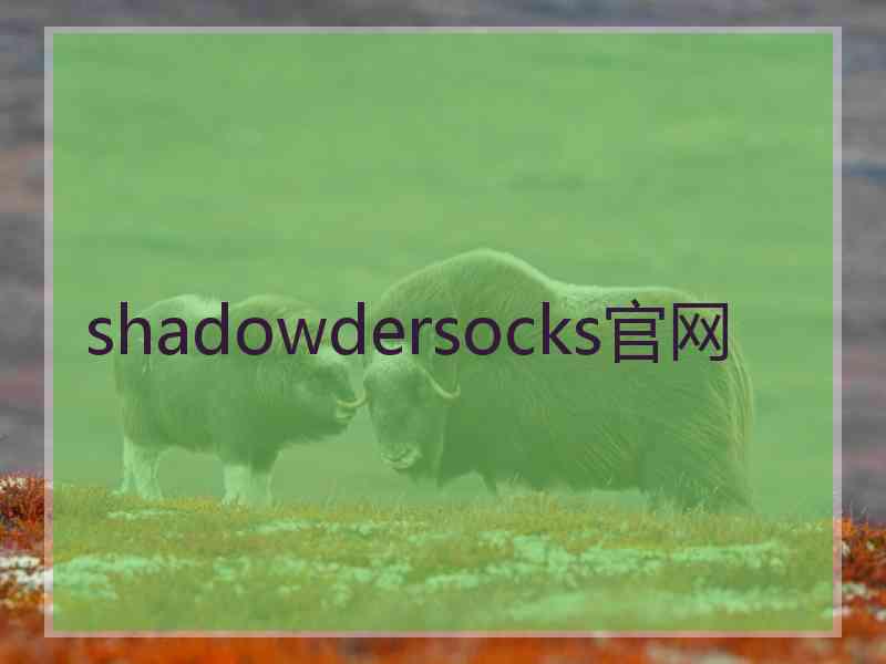 shadowdersocks官网