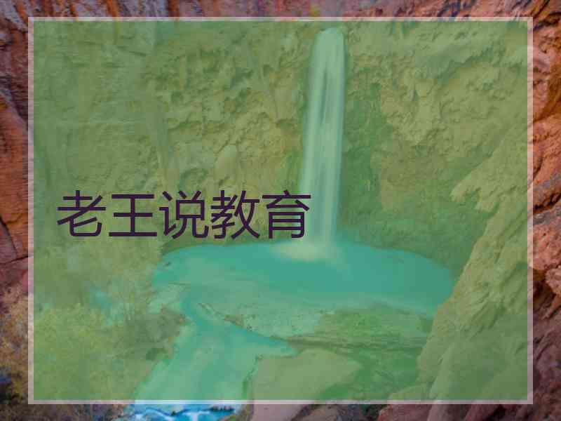 老王说教育
