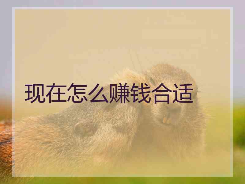 现在怎么赚钱合适