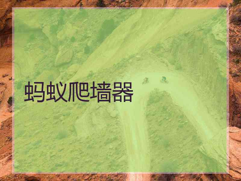 蚂蚁爬墙器