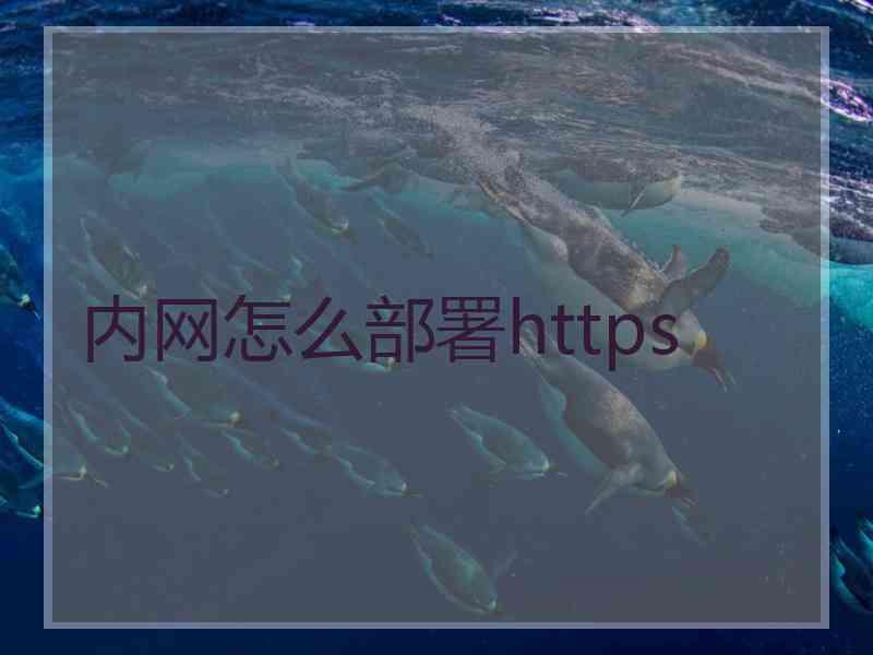 内网怎么部署https