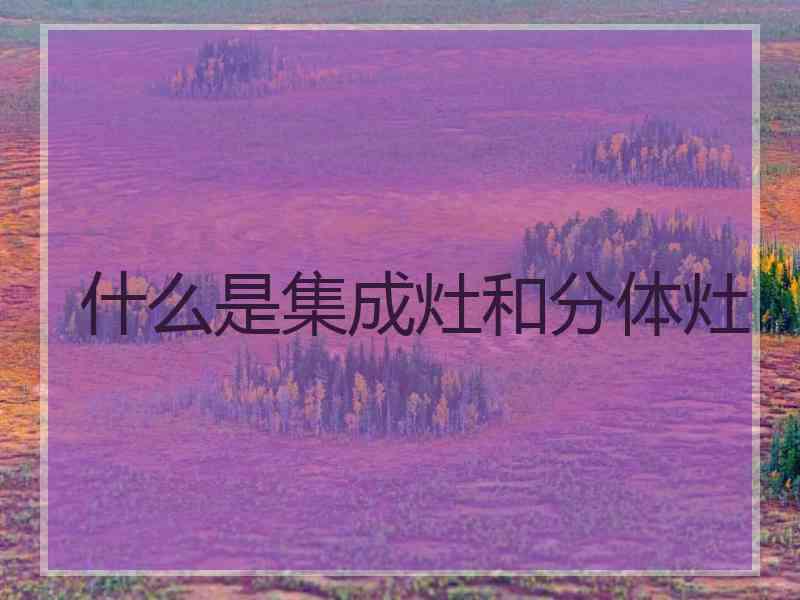 什么是集成灶和分体灶