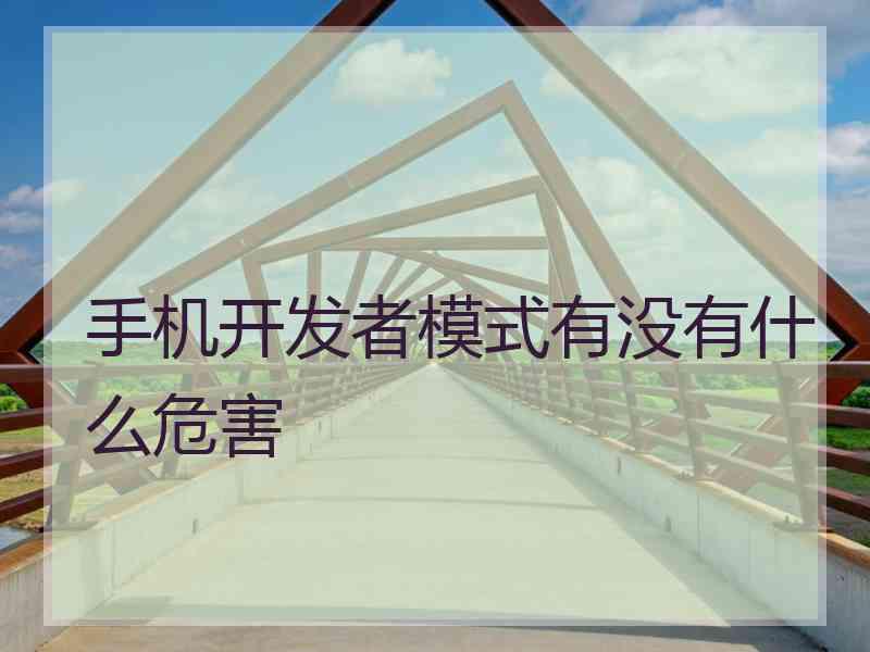 手机开发者模式有没有什么危害