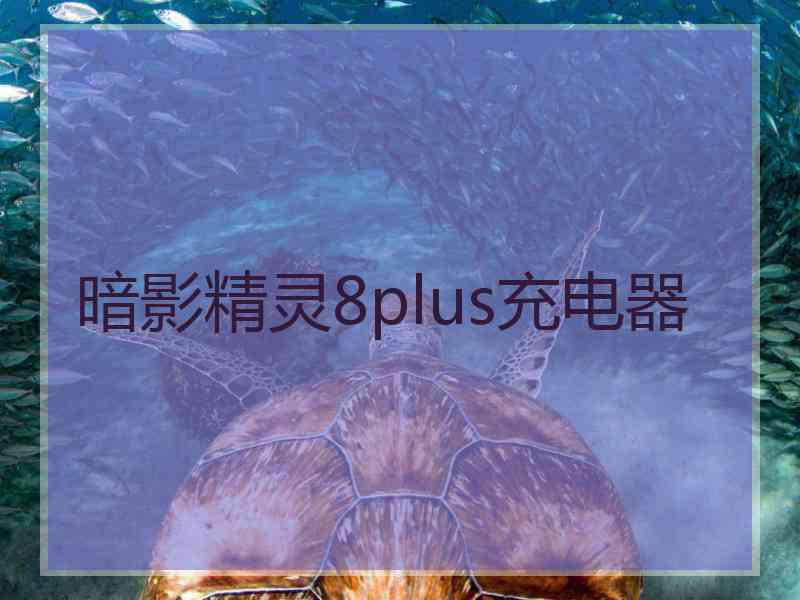 暗影精灵8plus充电器