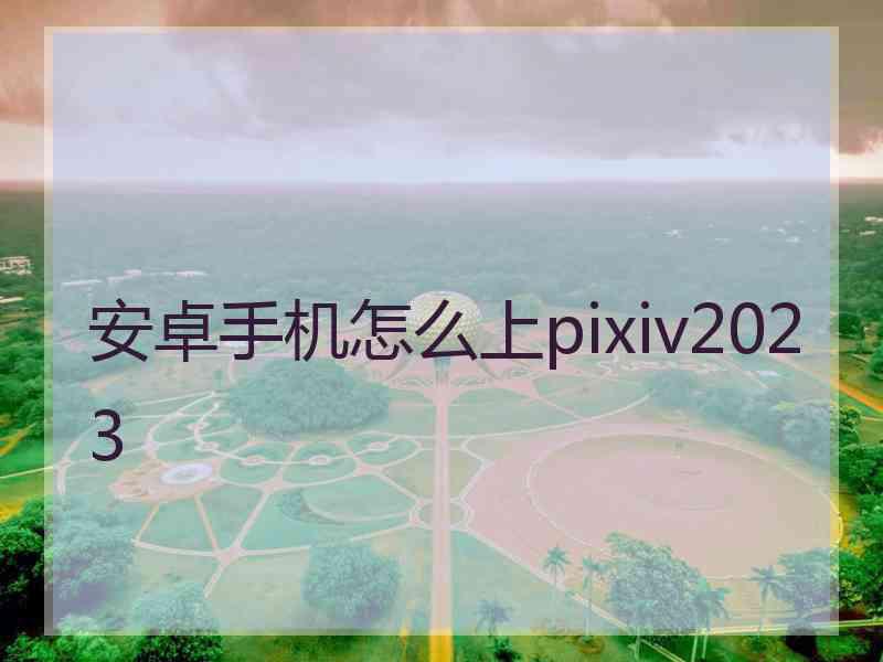 安卓手机怎么上pixiv2023