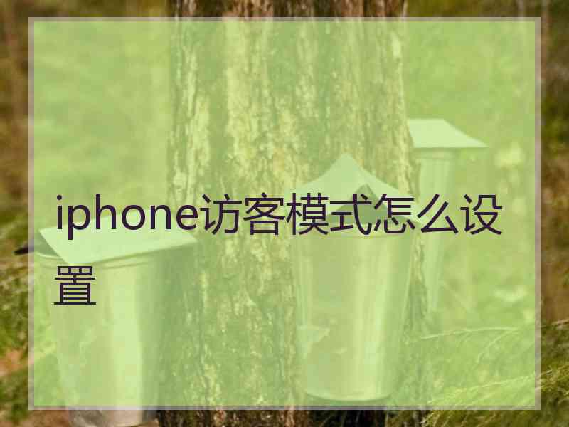 iphone访客模式怎么设置
