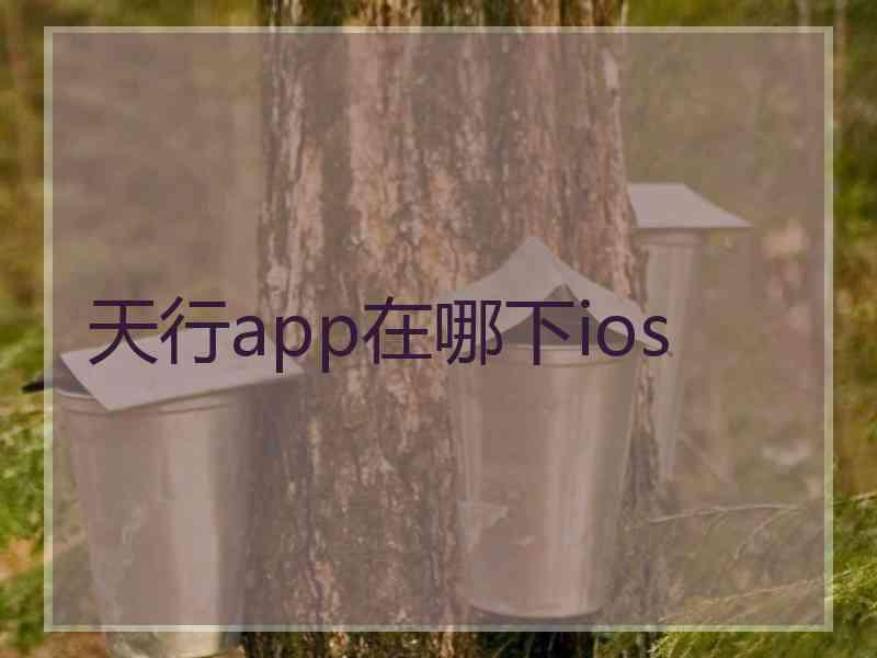 天行app在哪下ios