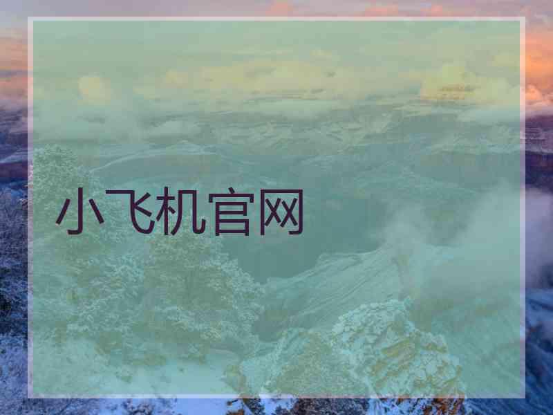小飞机官网