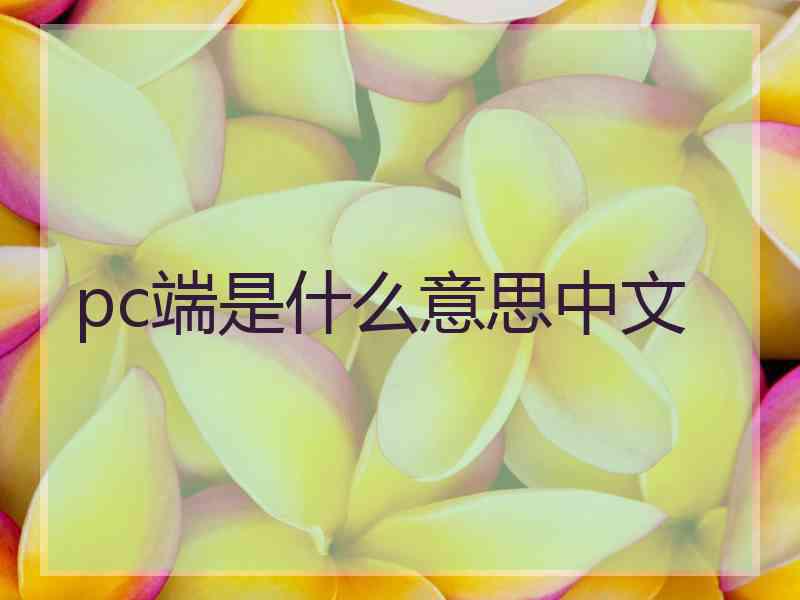 pc端是什么意思中文