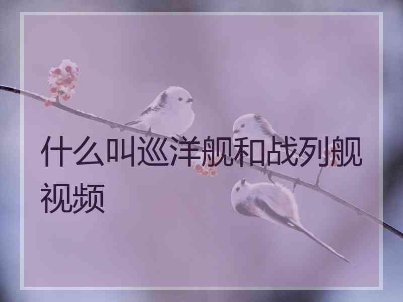 什么叫巡洋舰和战列舰视频