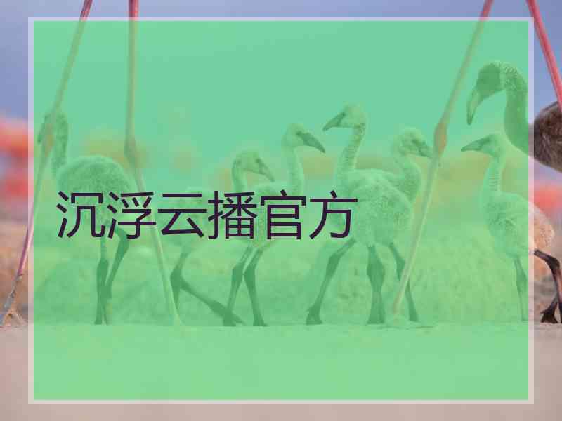 沉浮云播官方