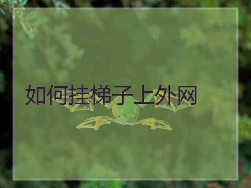 如何挂梯子上外网