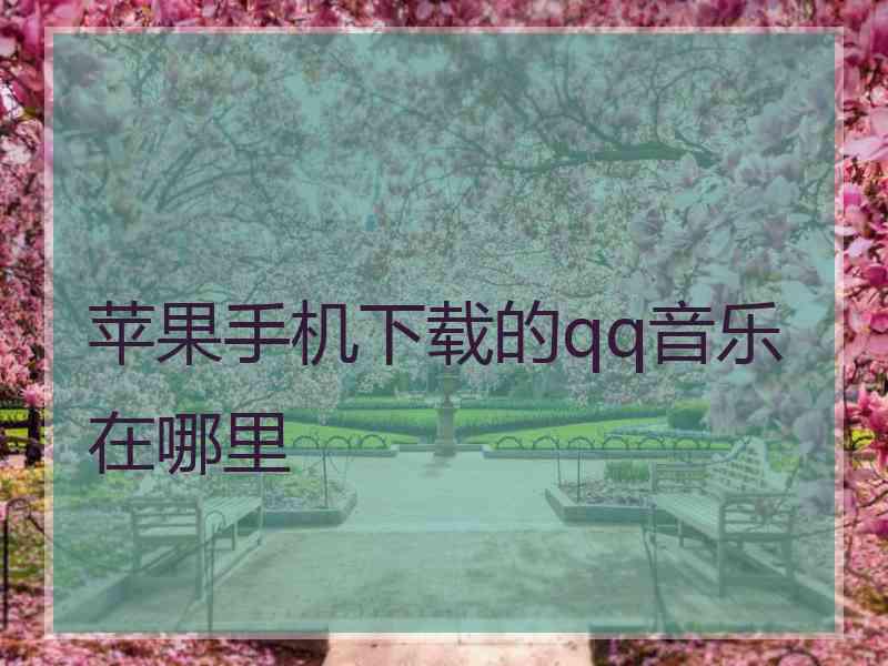 苹果手机下载的qq音乐在哪里