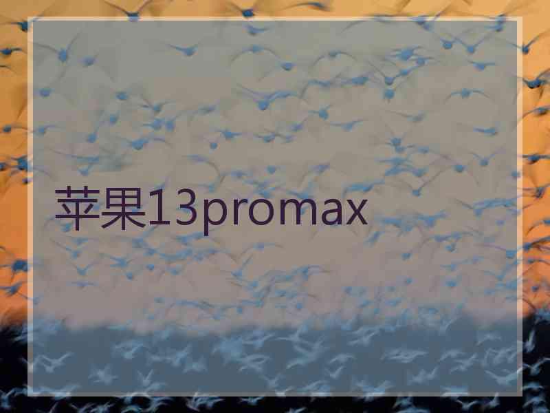 苹果13promax