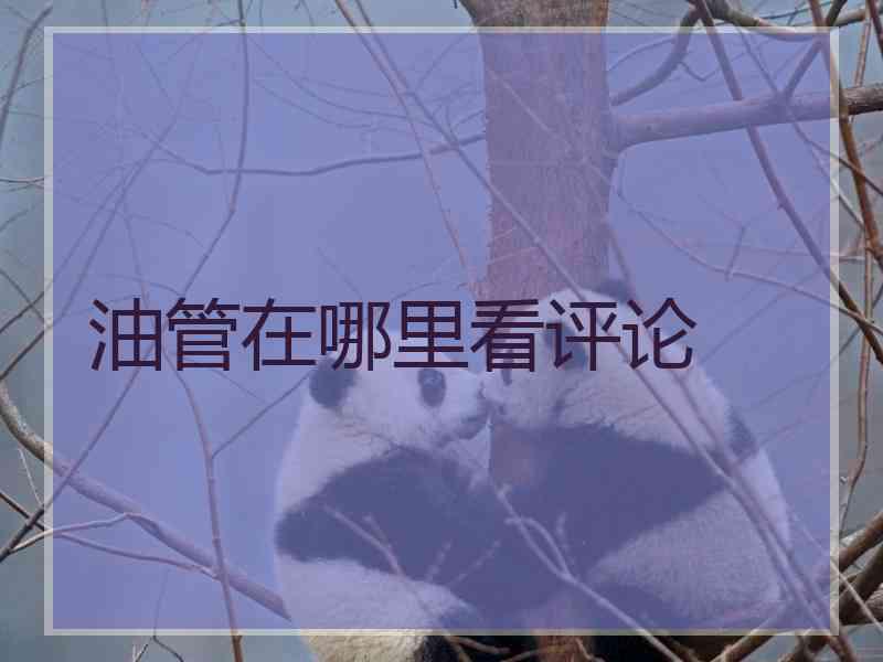 油管在哪里看评论
