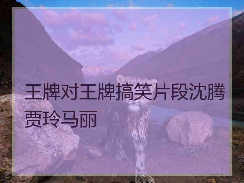 王牌对王牌搞笑片段沈腾贾玲马丽