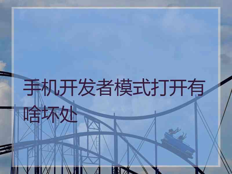 手机开发者模式打开有啥坏处