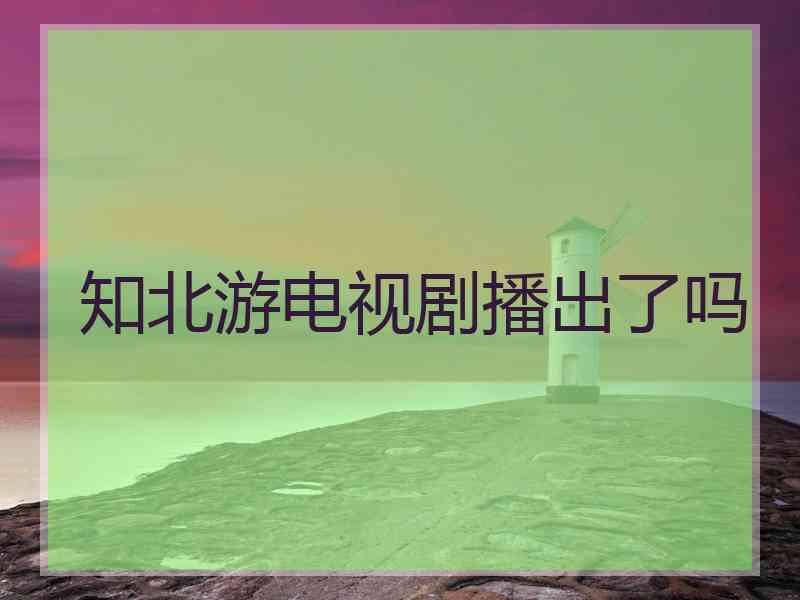 知北游电视剧播出了吗