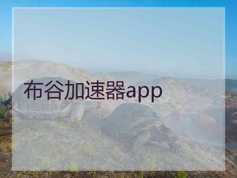 布谷加速器app