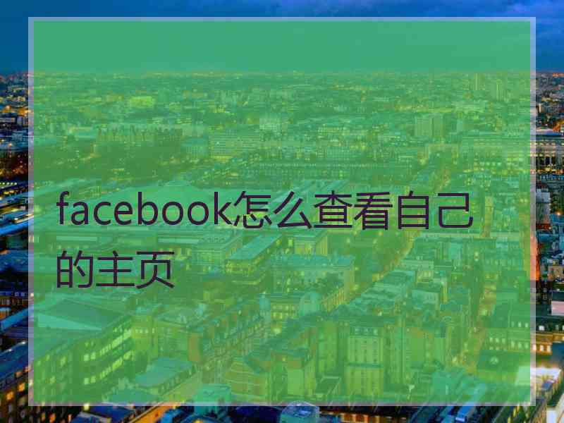 facebook怎么查看自己的主页