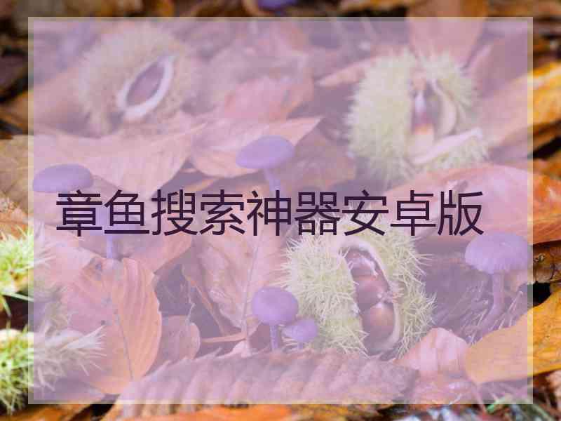 章鱼搜索神器安卓版