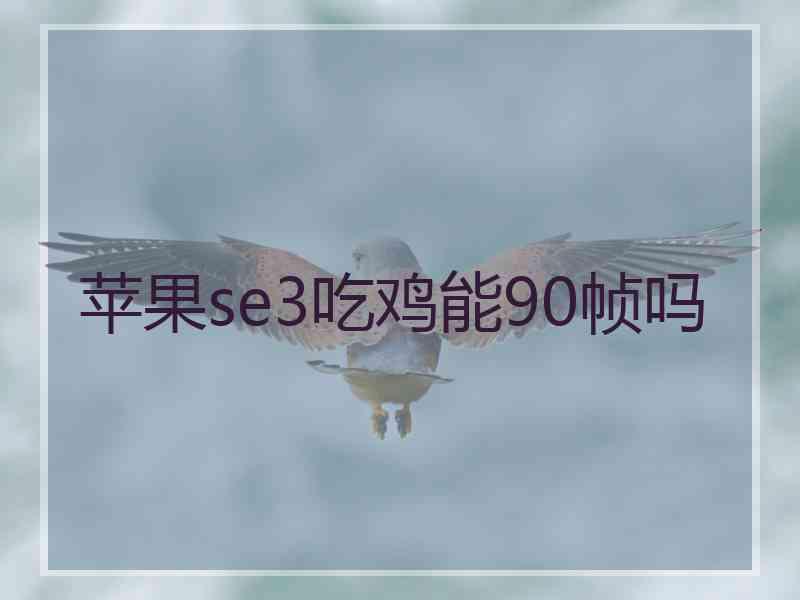 苹果se3吃鸡能90帧吗