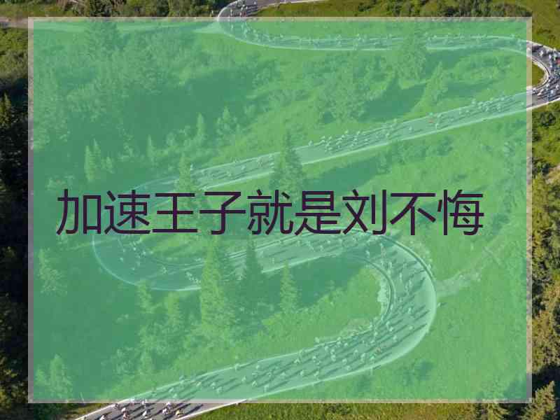 加速王子就是刘不悔