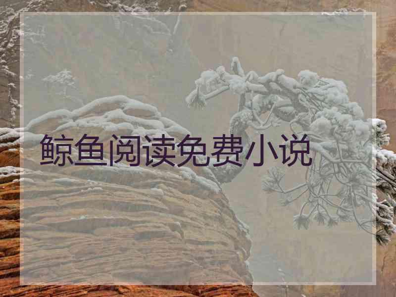 鲸鱼阅读免费小说