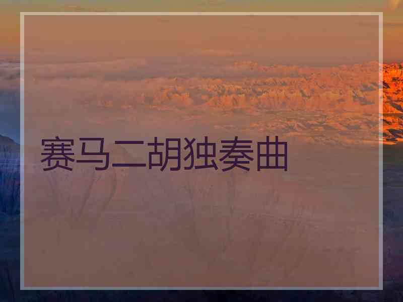 赛马二胡独奏曲