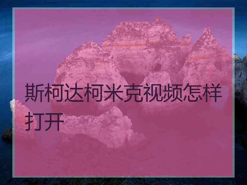 斯柯达柯米克视频怎样打开