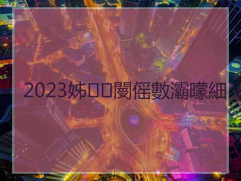 2023姊閿傜數灞曚細