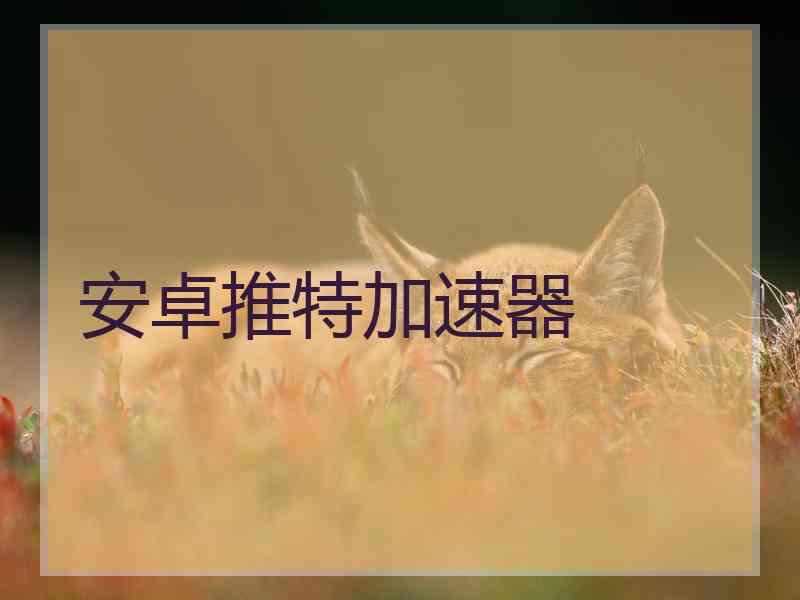 安卓推特加速器