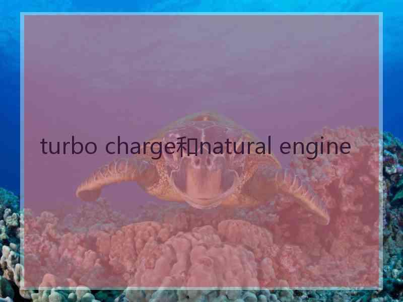 turbo charge和natural engine