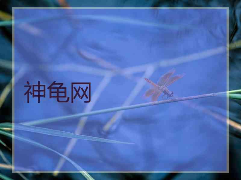 神龟网