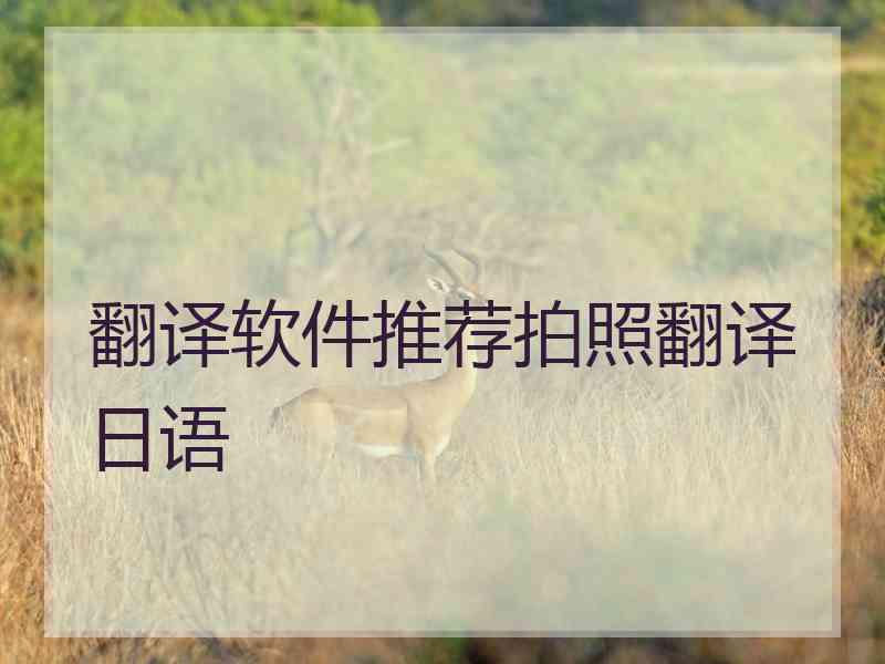 翻译软件推荐拍照翻译日语
