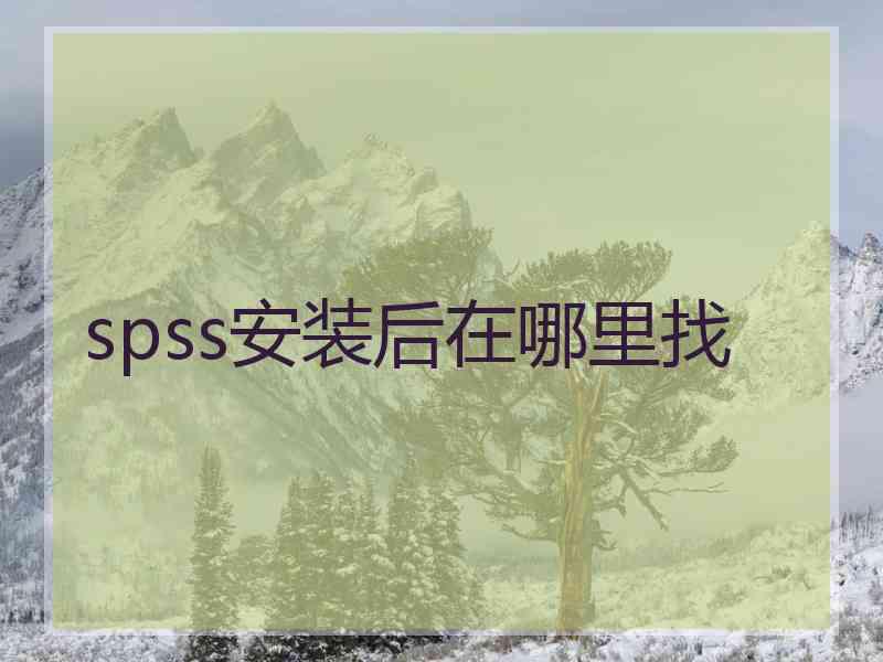 spss安装后在哪里找