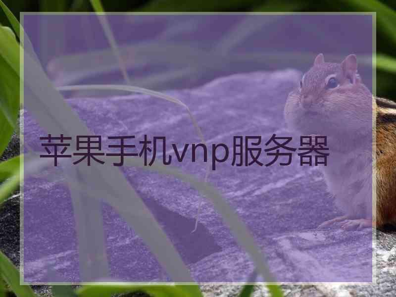 苹果手机vnp服务器